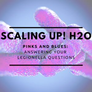 Pinks and Blues, Legionella Awareness Month, Legionella, Legionnaires Disease, Legionella Bacteria, Legionella Pneumophila Serogroup 1, Legionologist